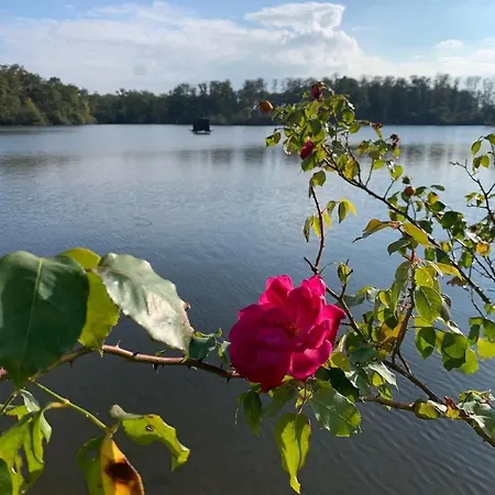 De L'etang Vieux Etusson