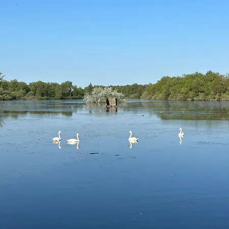 Gospodarstwo wiejskie De L'etang Vieux Etusson