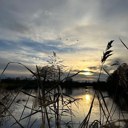 Gospodarstwo wiejskie De L'etang Vieux