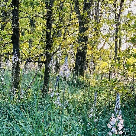 De L'etang Vieux Gospodarstwo wiejskie Etusson